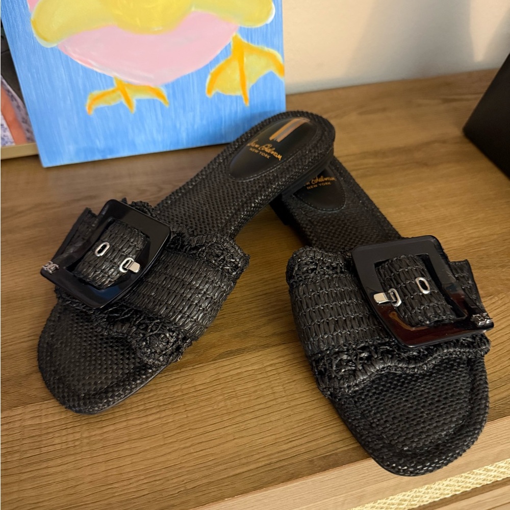 Sam Edelman Bambi Black Slide Sandals